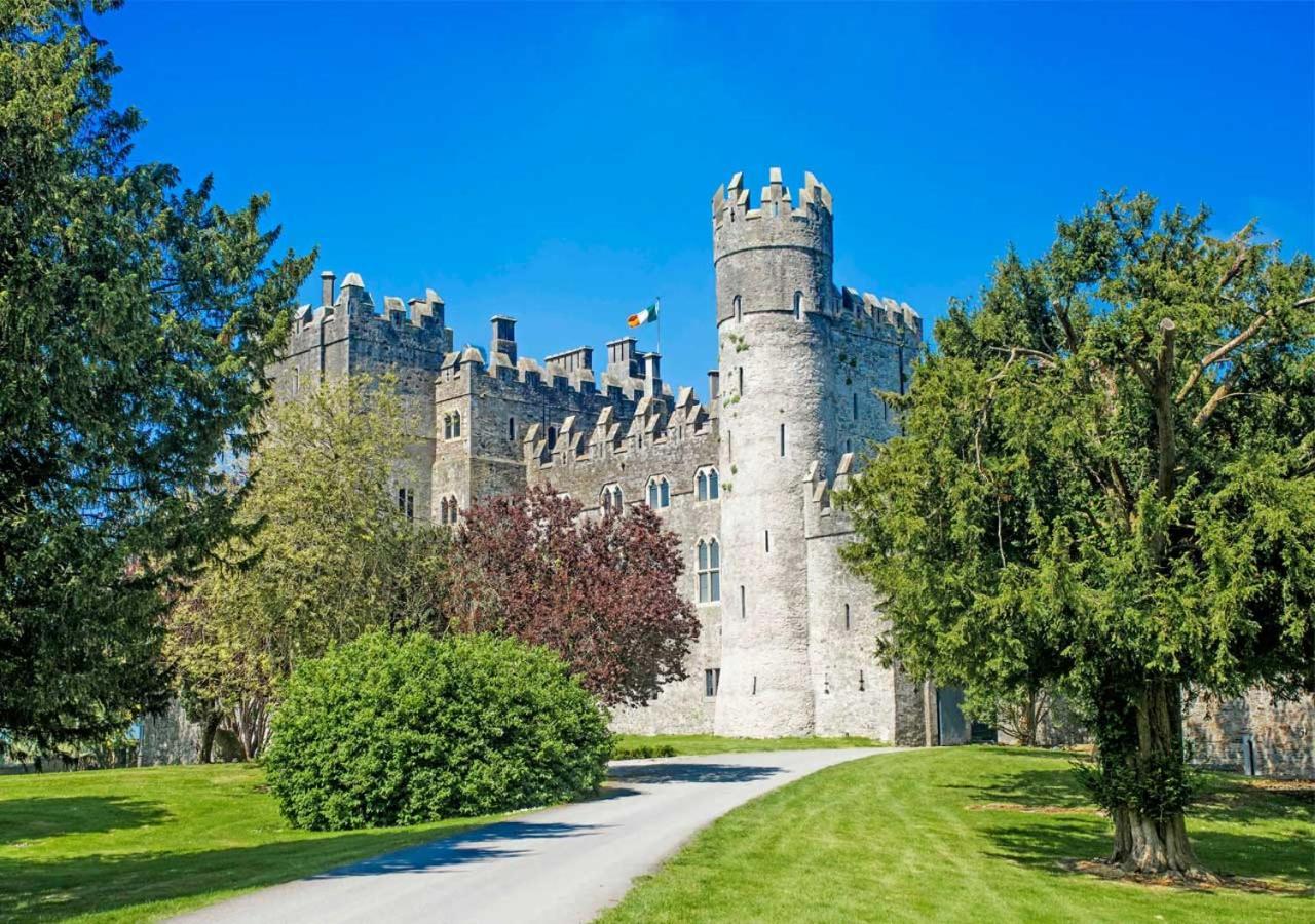 The Lodges At Kilkea Castle Екстер'єр фото
